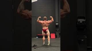 Seth Feroce ifbb pro  new Today video  retired motivation posing shorts bodybuilding ifbbpros [upl. by Attolrac]