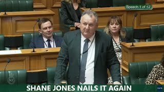 Shane Jones nails it again in respect to New Zealands energy [upl. by Aleuname]