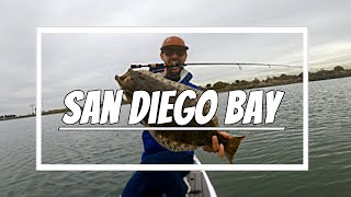 EASY Fishing San Diego Bay [upl. by Aldora]