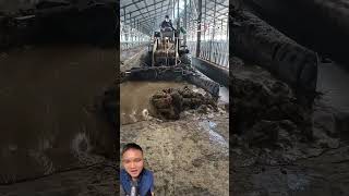 How to makes biogas from the farm farming [upl. by Anair]