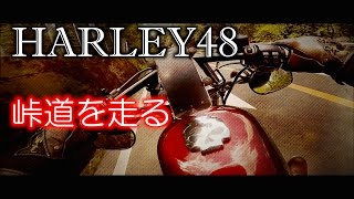 ハーレー４８峠道を走る。そしてジェットヘルアゴマウントのやり方【Ninja250 amp Harley48 モトブログ】 [upl. by Ymerrej752]