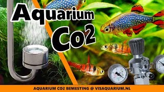 Aquarium Co2 bemesting voor planten is dit nodig [upl. by Sears]