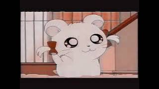 Hamtaro AMV Love Story [upl. by Hagood160]