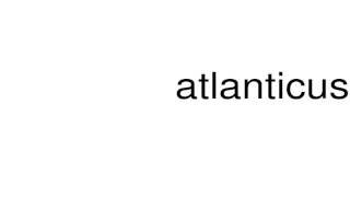 How to pronounce atlanticus [upl. by Nannie]