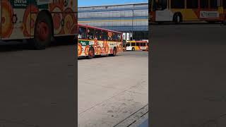 Beautiful Buses in Tubingen Germany  Public Transpotation in Tubingen  germany [upl. by Dayir760]