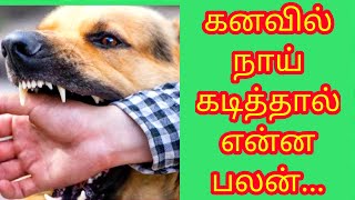 கனவில் நாய் கடித்தால் என்ன பலன்Kanavil naai kadithaal Enna palanKalyanaVirundhu5 [upl. by Nnylcaj474]