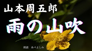 【朗読】山本周五郎「雨の山吹 」 朗読・あべよしみ [upl. by Aita22]