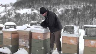 Winter Honeybee Hive Check [upl. by Tav]