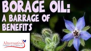 Gamma Linoleic Acid GLA in Borage Oil and Evening Primrose Oil Video [upl. by Aznola]