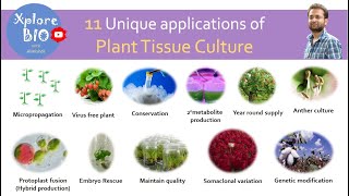 11 Unique applications of plant tissue culture [upl. by Asilrahc158]