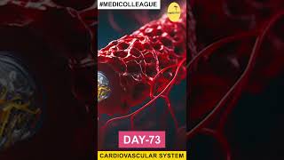 MEDICOLLEAGUE quotUnderstanding the Cardiovascular System in Minutesquot  CardiovascularSystem 100days [upl. by Dasha]