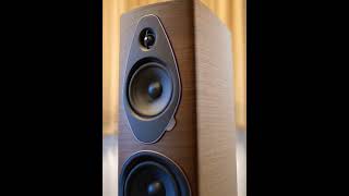 Sonus Faber Sonetto III or VIII  hifi sound hifiaudio sonusfaber [upl. by Leontina169]