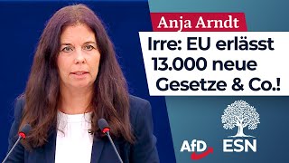 Irre EU erlässt 13000 neue Gesetze amp Co – Anja Arndt AfD [upl. by Elliot180]