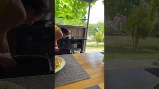 Dog falls off chair while eating at table in Ulyanovsk Russia [upl. by Keri]