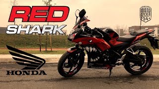 2016 Honda CBR250R Red Shark Sticker Set  Moto Sticker 54 [upl. by Noryd]