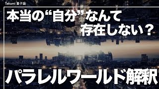 この世界quot全てquotが量子で創られたパラレルワールドである｜エヴェレットの多世界解釈 [upl. by Pastelki]