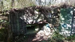 Deutsche Wehrmacht Westwall Bunker 13940  Hürtgenwald Germany  WW2  Herbst 2018 [upl. by Husain386]