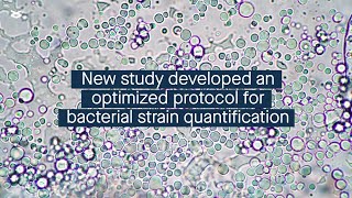 Development of an optimized protocol for bacterial strain quantification in human fecal samples [upl. by Atirabrab]