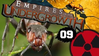 Empires of the Undergrowth  Alpha 09 Auf in den Ameisenkrieg ☢ Lets Play  Deutsch [upl. by Nollahp]