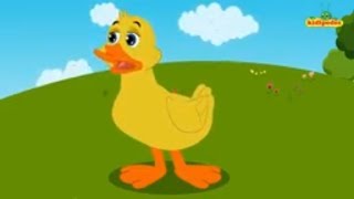 Five Little Ducks Nursery Rhymes For Children I Kids Kindergarten Songs I Baby Rhyme Poems [upl. by Iilek]