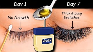 Use Vaseline to Grow Long eyelashes amp Thick eyebrows from First WEEK  Thick Eyelash Growth Serum [upl. by Garrick]