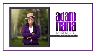 JOYCE BLESSING  ADAM NANA INSTRUMENTAL  CUT OUT [upl. by Ennayrb]