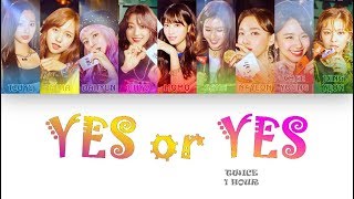 1 시간  1 HOUR LOOP TWICE 트와이스  YES or YES  Color Coded Lyrics [upl. by Coucher]