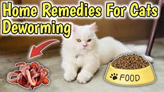 How to Deworm a cat with Home Remedies  Home Remedies for Deworming Cats  Cat Worms Treatment [upl. by Arej]