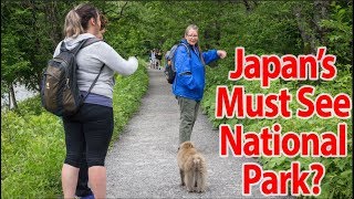 Japan Family MashUp Part 6 Kamikochi [upl. by Ninnetta145]