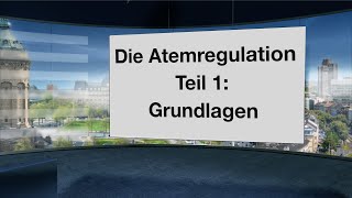 Wie funktioniert die Atemregulation Welche Rolle spielen CO2 O2 Muskeln Gefühle und Gedanken [upl. by Ynetsed572]