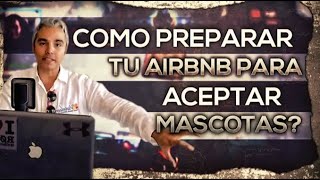 Como Preparar tu Airbnb para aceptar mascotas [upl. by Notserp]