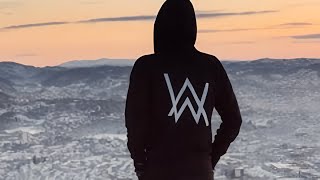 Faded Alan Walker opening at Together Festival [upl. by Eiznekcm]