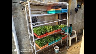 மண்ணில்லா தீவன உற்பத்தி கோடையை சமாளிக்க Simple Hydroponic method to manage summer [upl. by Lyris823]