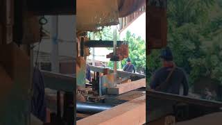 bandsaw penggergajian kayu keruing [upl. by Aketal]