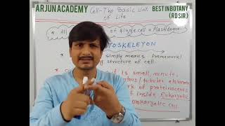 Introduction  Definition  Description of cytoskeleton [upl. by Crowns]