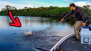 Crushing BIG Fish In a Saltwater River [upl. by Treboh213]