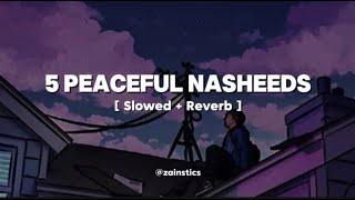 5 Peaceful Nasheeds ✨  Slowed  Reverb  Zainstics [upl. by Hodge]