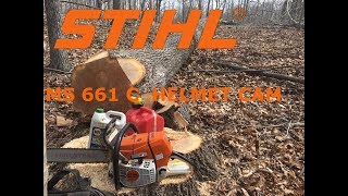 POV  Unedited MS661C Felling Footage Stihl Ms661 Logging [upl. by Ettennej507]