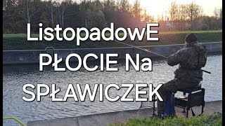 JESIENNE PŁOCIE  Spławikowa przepływanka [upl. by Renruojos]