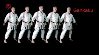 Part Of Gankaku Kata shotokan [upl. by Airitac]