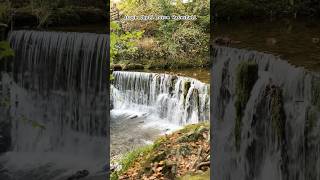 Part 1 Lake District Stock Ghyll Force Waterfall travelvlog trendingshorts waterfall [upl. by Nil646]