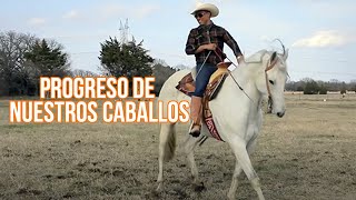 Progreso de Nuestros Caballos  El Charro Y La Mayrita Vlog [upl. by Dilahk]