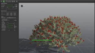 PlantCatalog 3D Dwarf bottlebrush  Callistemon viminalis Little John  procedural 3D vegetation [upl. by Mattson]