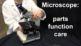 Microscope Parts Function and Care [upl. by Gnouh]