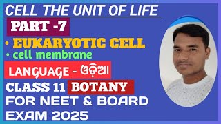 Cell The Unit Of Life 07  Cell The Unit Of Life in Odia  Cell Membrane  Class 11NEET [upl. by Bernstein677]