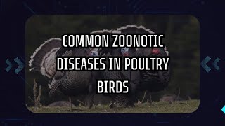 COMMON ZOONOTIC DISEASES IN POULTRY BIRDS [upl. by Kendell747]