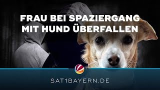 Überfall in GarmischPartenkirchen Männer entführen Hund [upl. by Vladi]