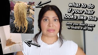 HOW TO REPAIR EXTREMELY DAMAGED GUMMY HAIR THATS FALLING OUT  PRO HAIRSTYLIST ADVICE [upl. by Jarvis]