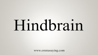 How To Say Hindbrain [upl. by Aramac829]