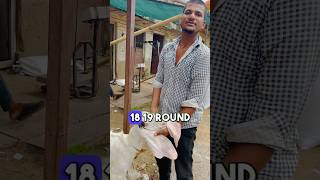 Bakra mandi 2024 सोजत बकरा price😱 goat shorts bakramandi [upl. by Saxena]